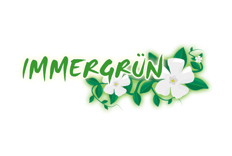 Immergrün